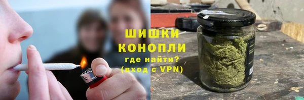 амф Осташков
