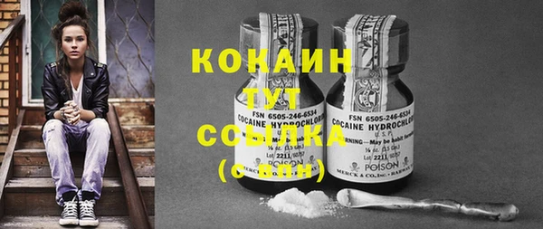 амф Осташков