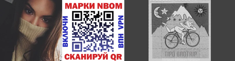 где можно купить наркотик  гидра ТОР  Марки NBOMe 1500мкг  Каменногорск 